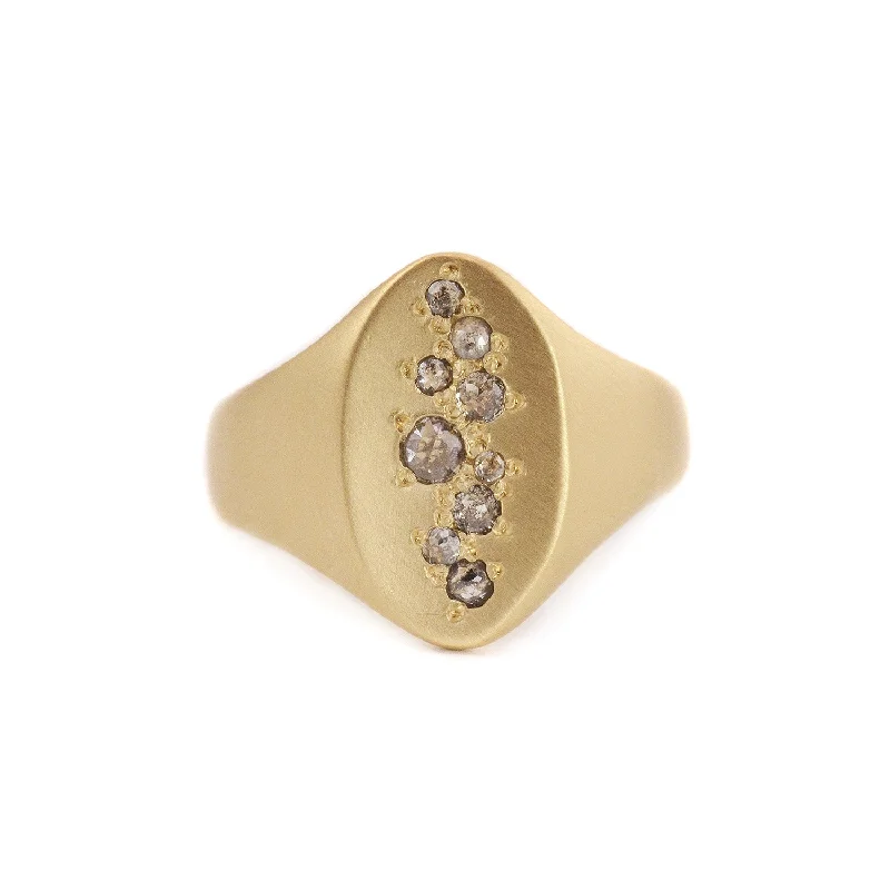 Small Grey Diamond in 14Kt Gold Band Ring by Rebecca Overmann